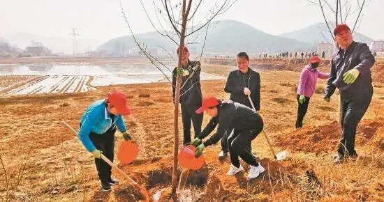 昭通｜助力打好“三大保卫战” 厚植绿美昭通生态底色——市政协持续助力生态文明建设侧记