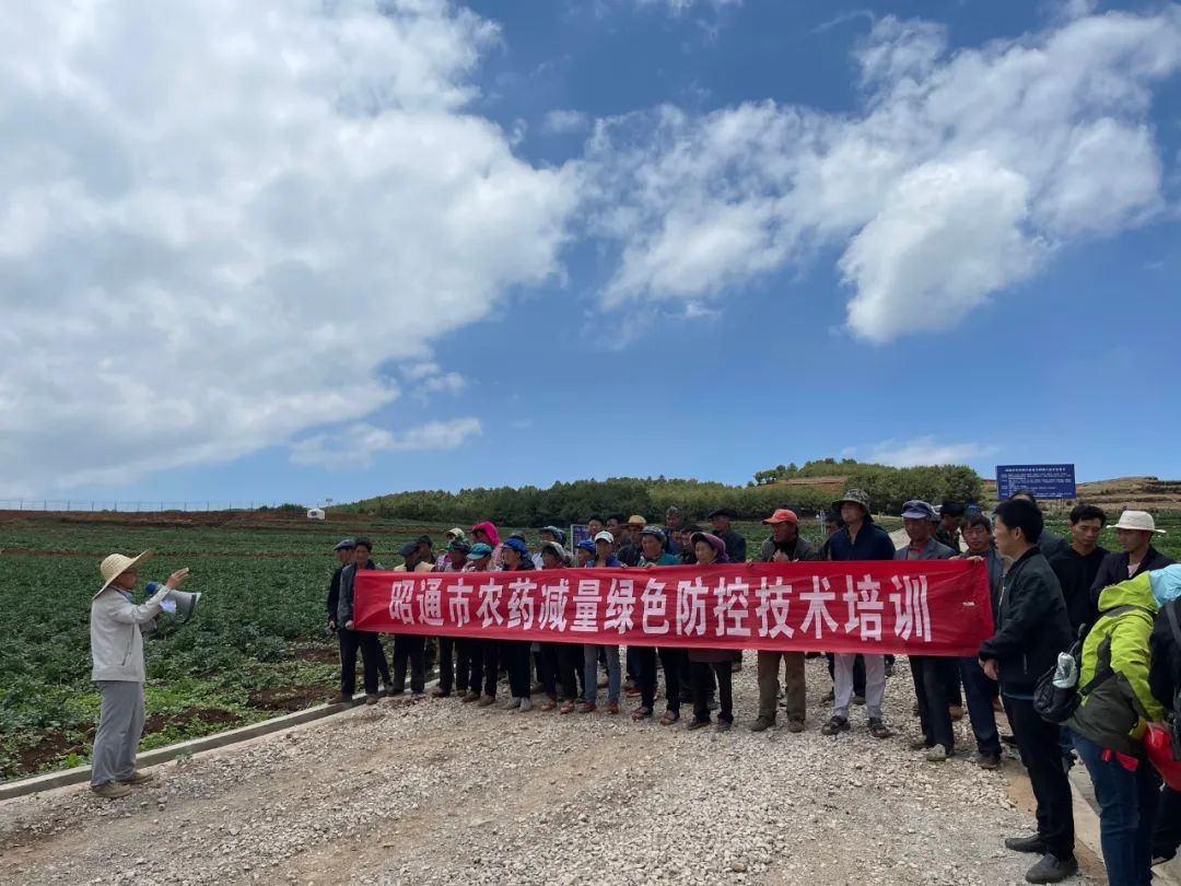 【聚焦“六大战略”】抓实“万名人才兴万村” 激活乡村振兴“生力军”