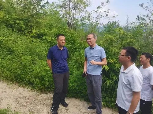 成仁带队到县区督察林长制工作