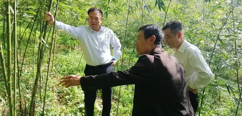 胡建普到镇雄县调研指导乡村振兴、“万企兴万村”、商会换届等工作