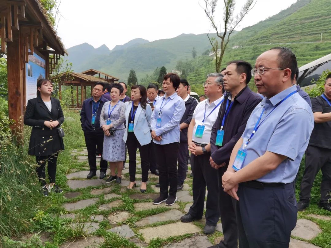 生态优先 协作共赢——云贵川三省协作推进赤水河流域生态文明建设纪实