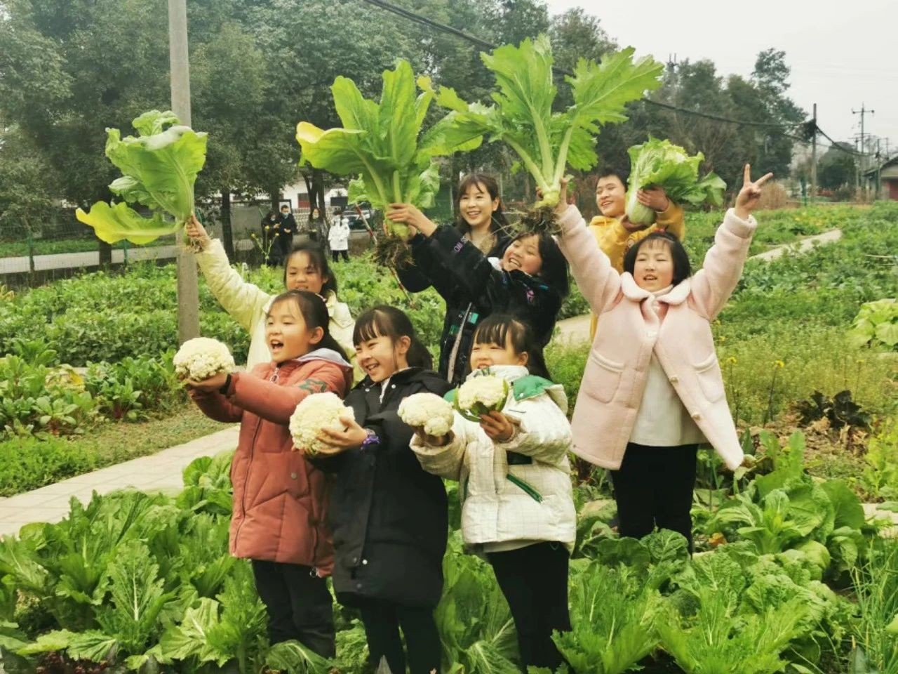 【委员风采】省政协委员程云峰：让优秀传统文化在网络文学中绽放