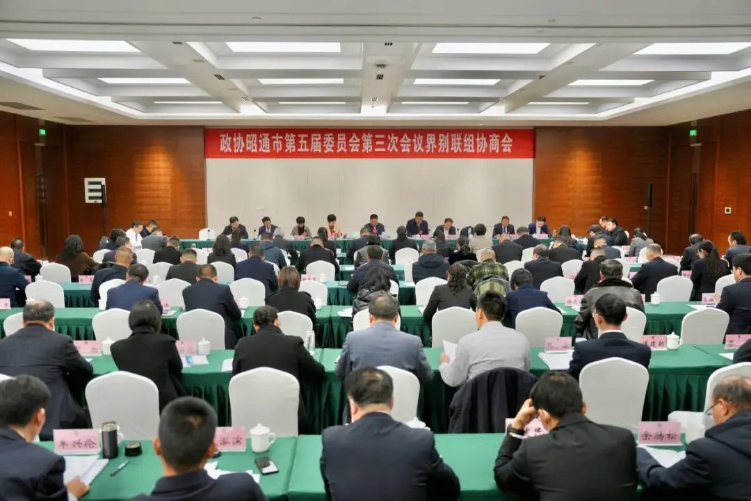 市政协五届三次会议举行界别联组协商会 苏永忠到会听取意见建议并讲话 唐源申琼等出席