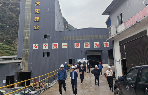 彝良县政协开展硅产业发展情况调研