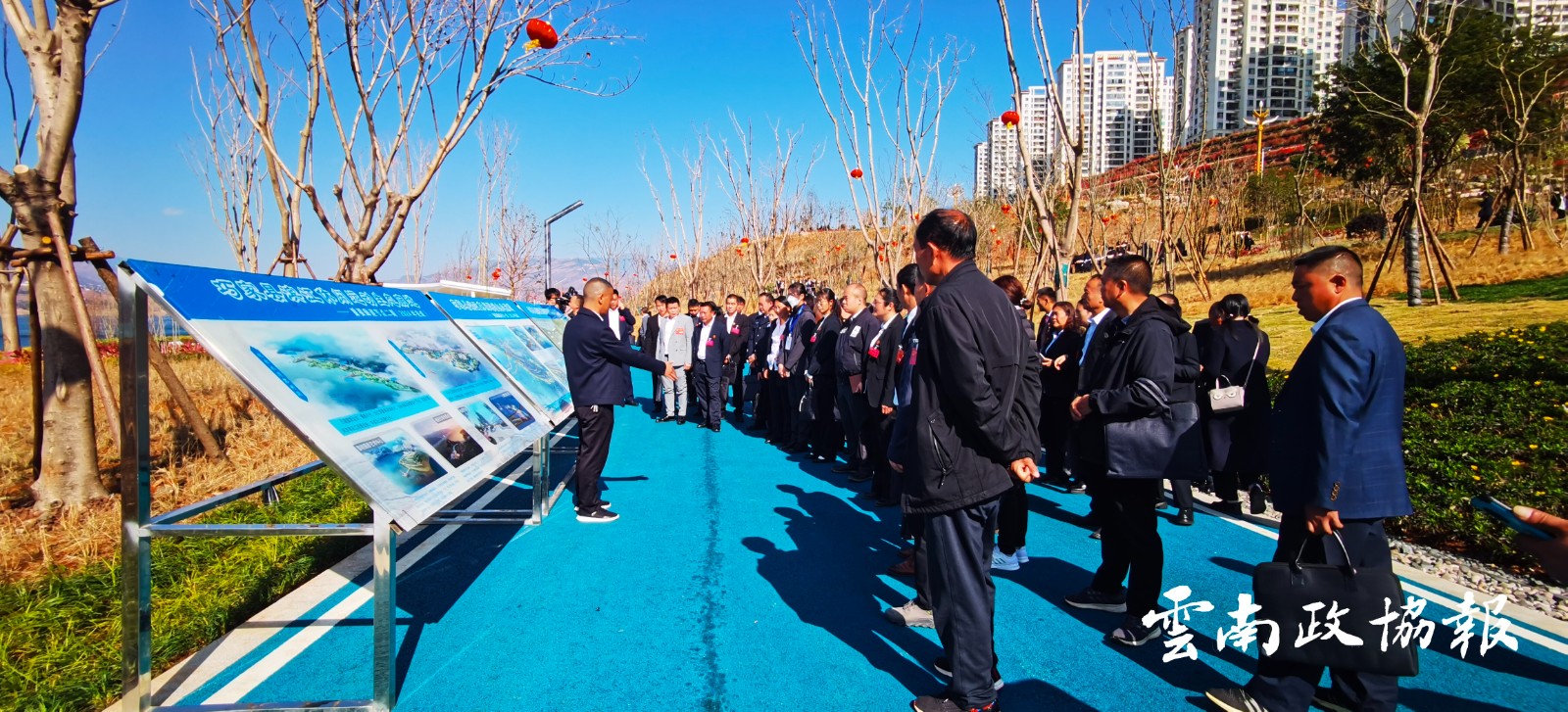 巧家｜县政协2024年工作亮点综述