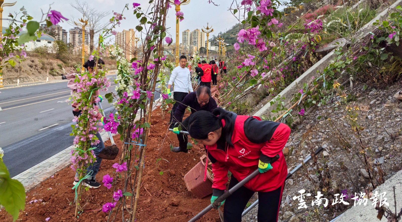 巧家｜县政协组织政协委员参加“绿美巧家，植树有我”植树节活动