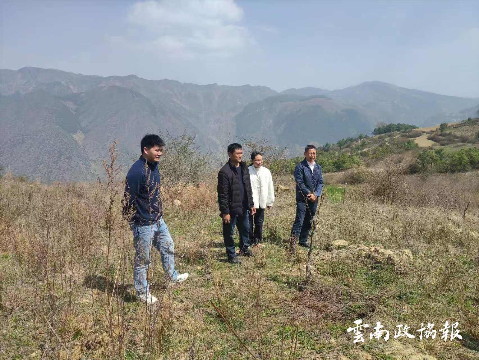 巧家｜县政协到中寨乡开展院坝协商商前调研