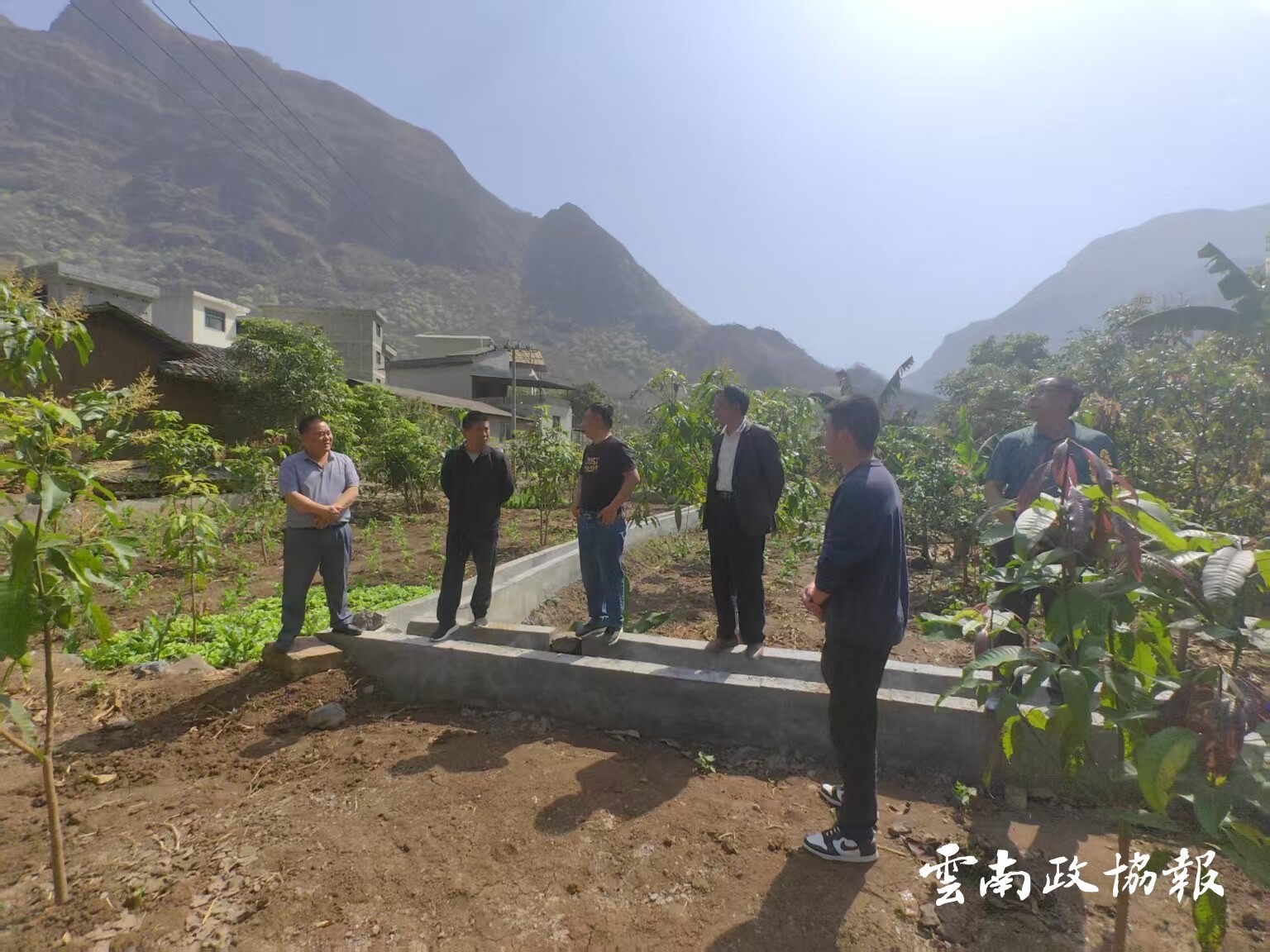 巧家｜县政协深入基层开展院坝协商前期调研工作