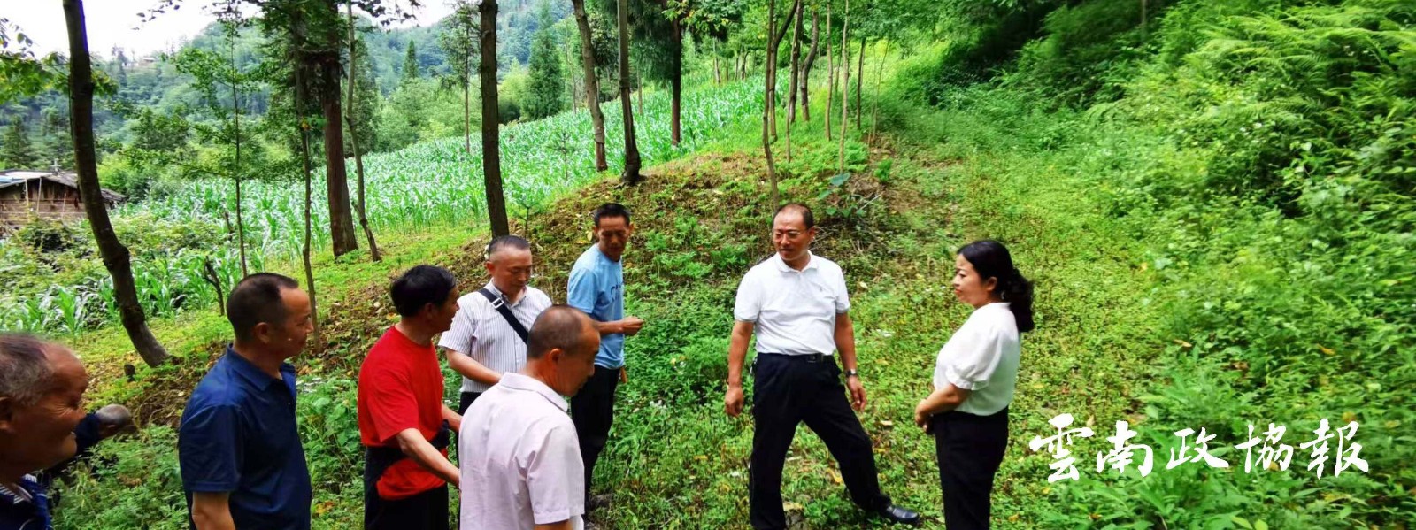 绥江｜县政协提案建议被采纳 助力解决山区群众出行难题