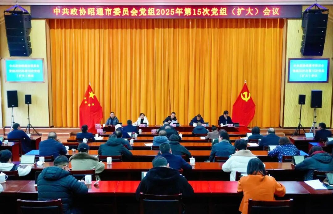 市政协党组召开2025年第15次（扩大）会议