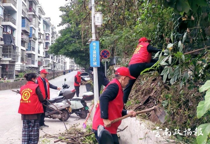 绥江｜县政协机关干部职工积极参与创文工作