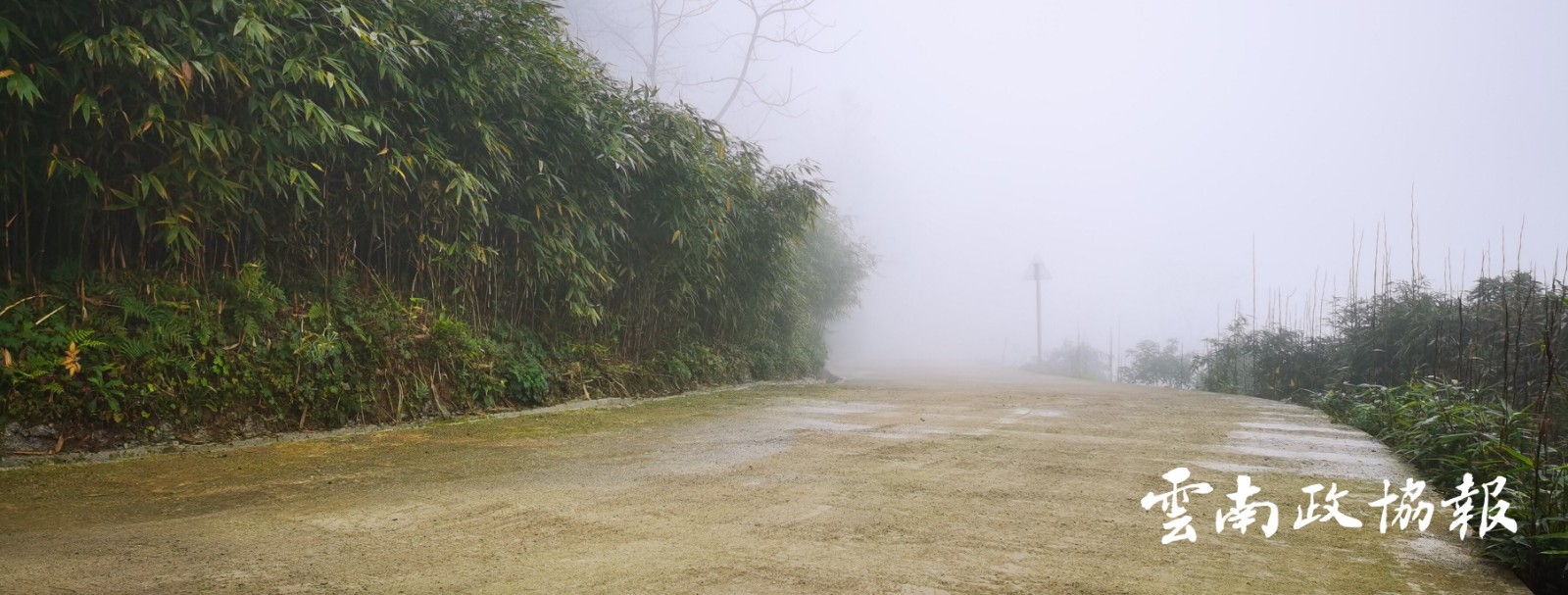 绥江｜县政协助力山村驶上振兴“快车道”