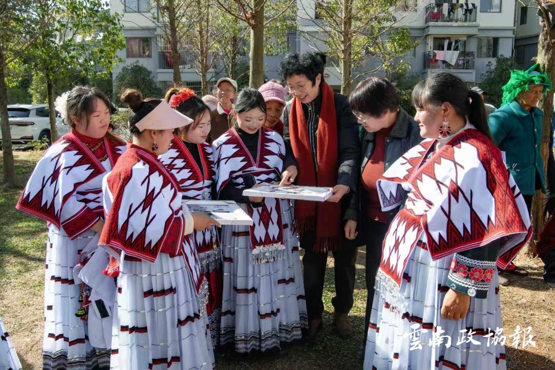 昭阳｜区政协开展“千名委员走基层”活动