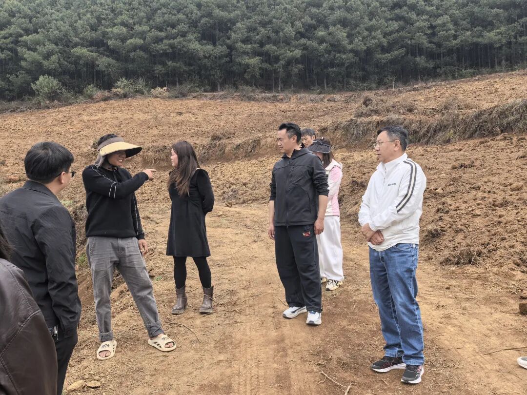 同心共育“致富椒”——看巧家县政协如何在高寒民族村寨书写履职答卷