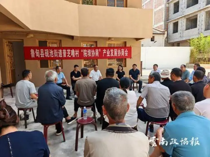 鲁甸｜县政协通过院坝协商助力群众增收