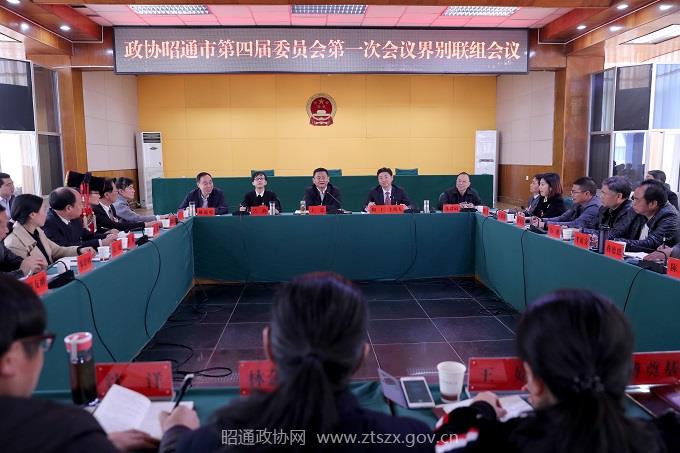 政协界别联组会  记者  张广玉  摄 (17).JPG