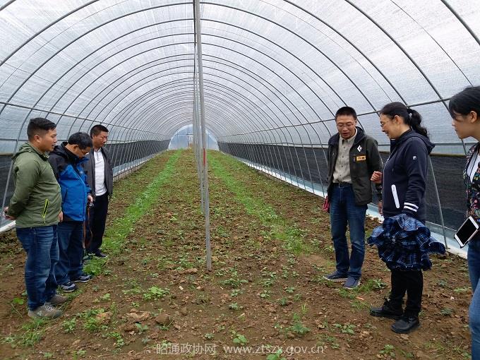 C:UsersAdministrator.PC-20160920WOEQDesktop视察中草药材育苗种植基地2jpg.jpg