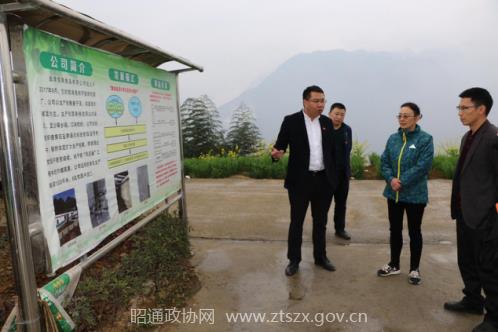 E:网站发布2018年2018.3.22 市政协副主席彭霓到盐津调研集体经济图片1.png