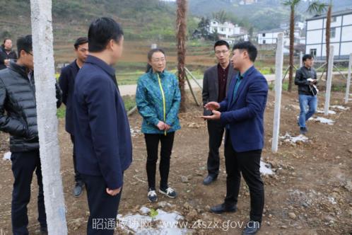 E:网站发布2018年2018.3.22 市政协副主席彭霓到盐津调研集体经济图片3.png